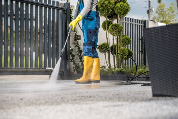 Best Roof Power Washing Services  in Edisto, SC