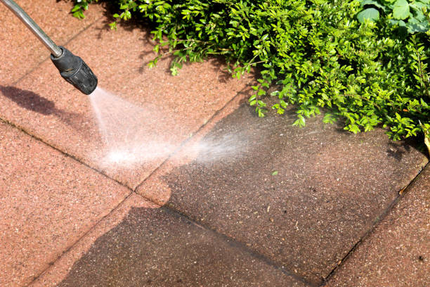 Best Affordable Power Washing  in Edisto, SC